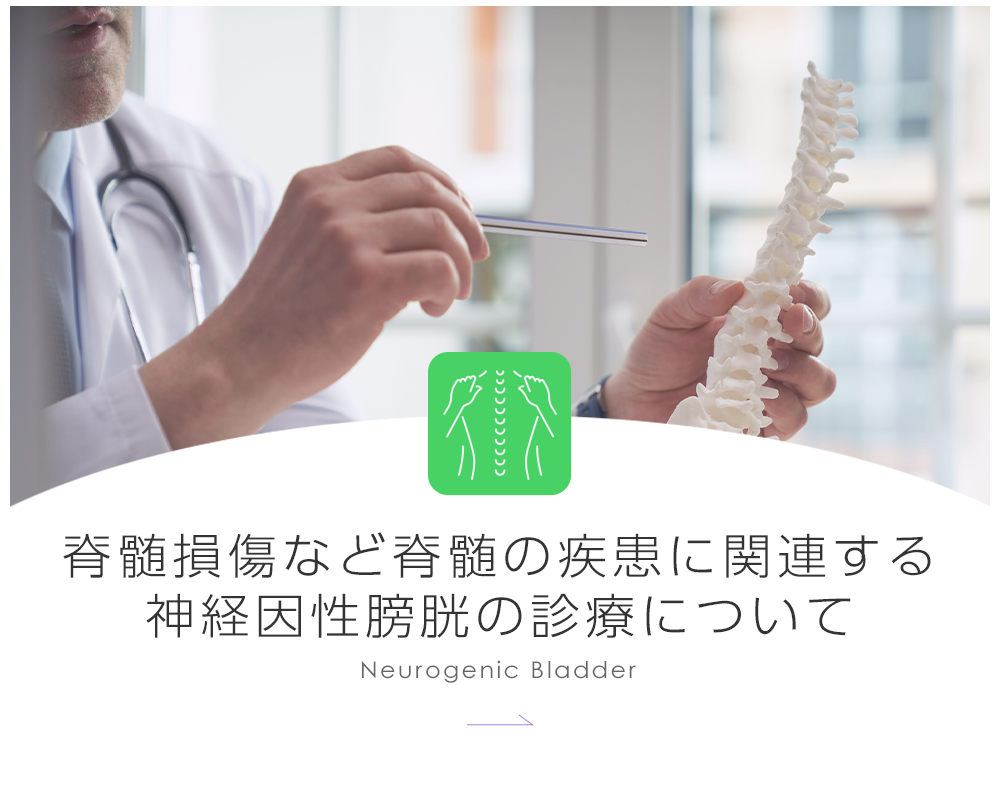 脊髄損傷など脊髄の疾患に関連する神経因性膀胱の診療について